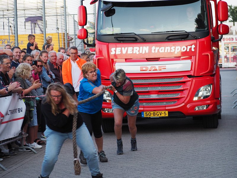 52336354738_2b42f6ffd1_c