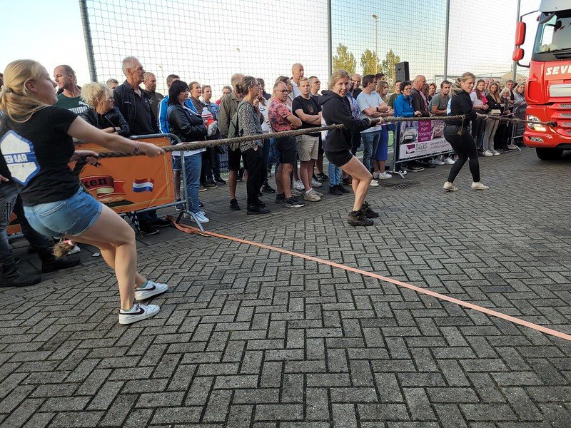 53150496062_0088529be2_c