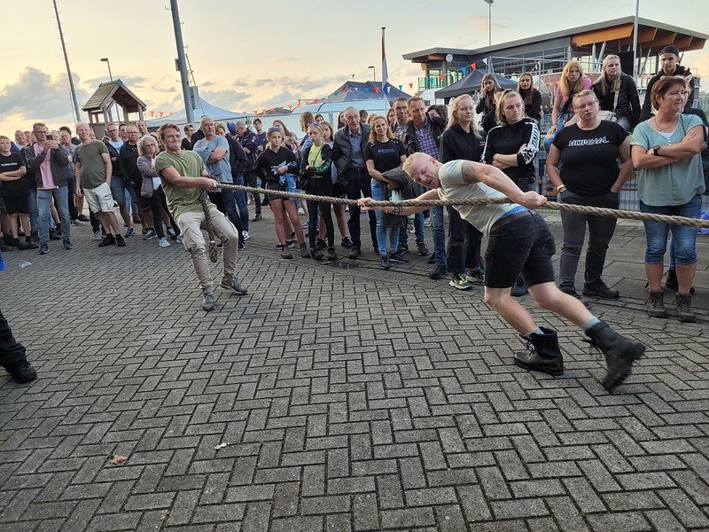 53151504020_3fea5ce106_c