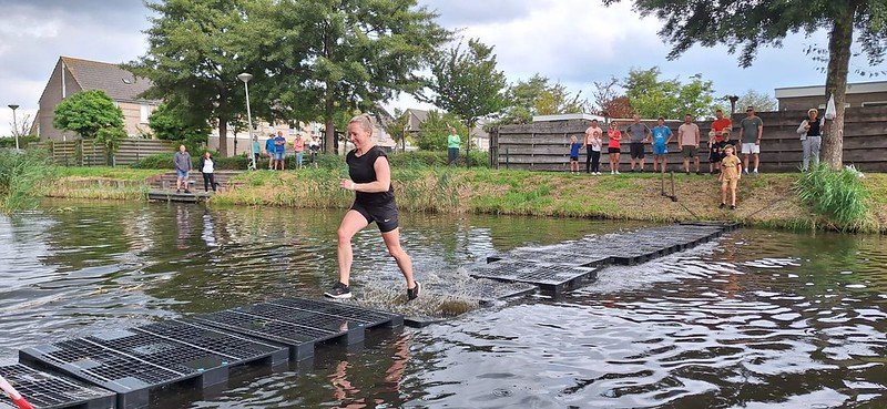 53955992392_cc08cd262b_c