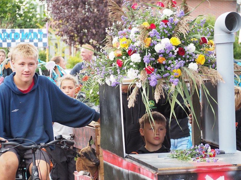 53956336015_96d6353543_c