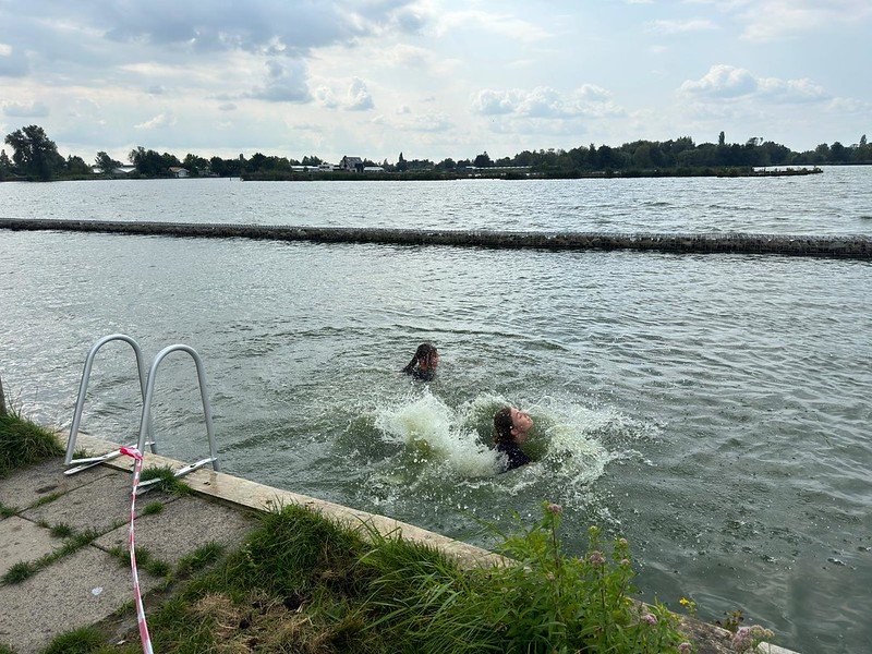 53956891461_c0529a648f_c